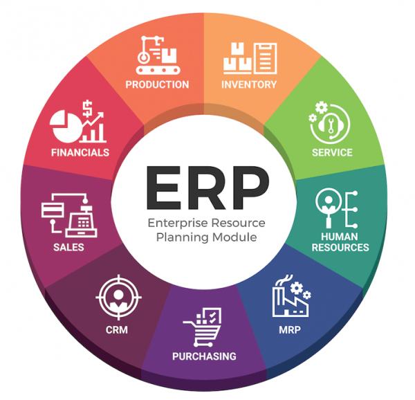 Codinix - NetSuite ERP Services